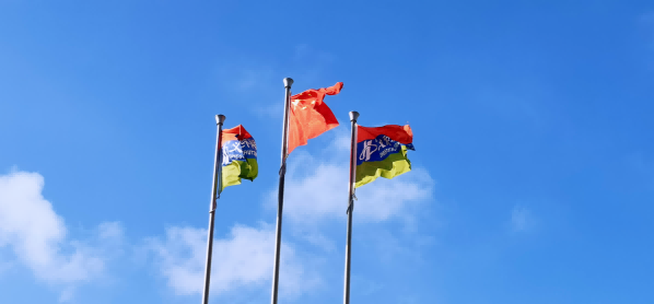 କମ୍ପାନୀ 